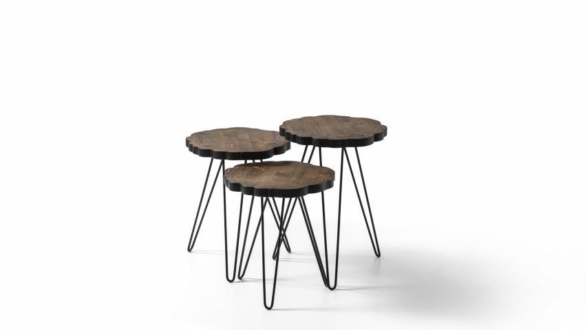 KNT1006 (2)
